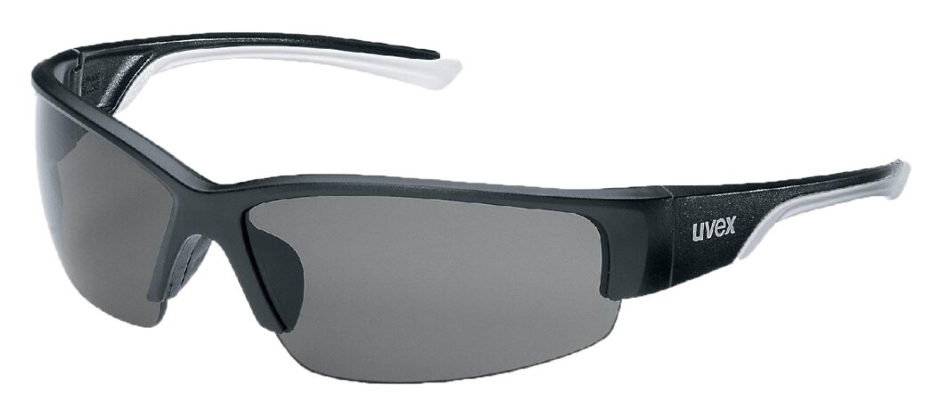 Glasses Polavision Grey 1 Wenaas