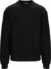 Sweater Collie 2 Black Wenaas  Miniature