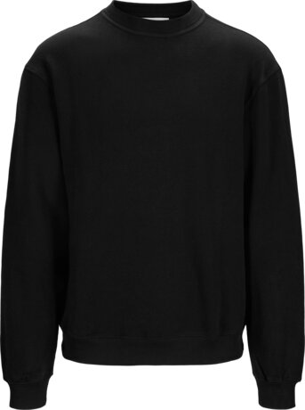 Sweater Collie 1 Wenaas