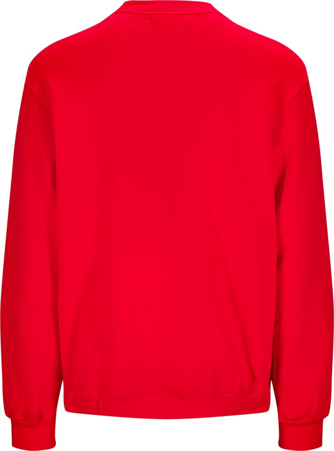 Sweater Collie 2 Wenaas