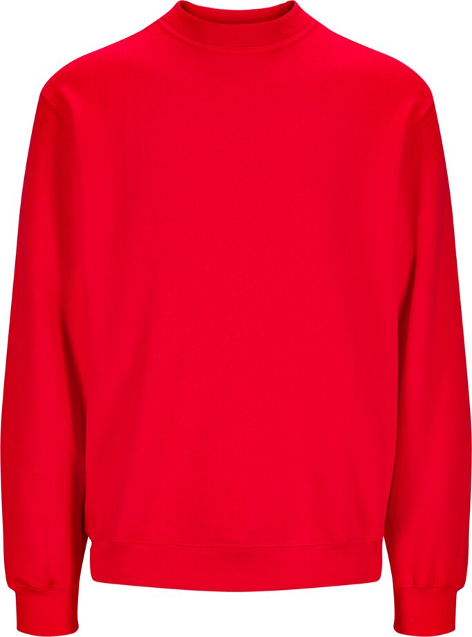 Sweater Collie 1 Wenaas