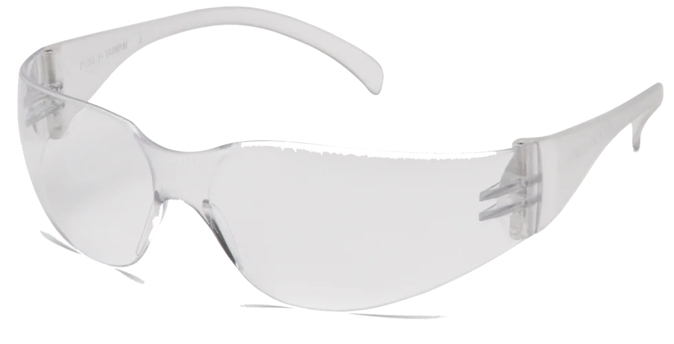Glasses Intruder Clear 12Pck Wenaas Medium