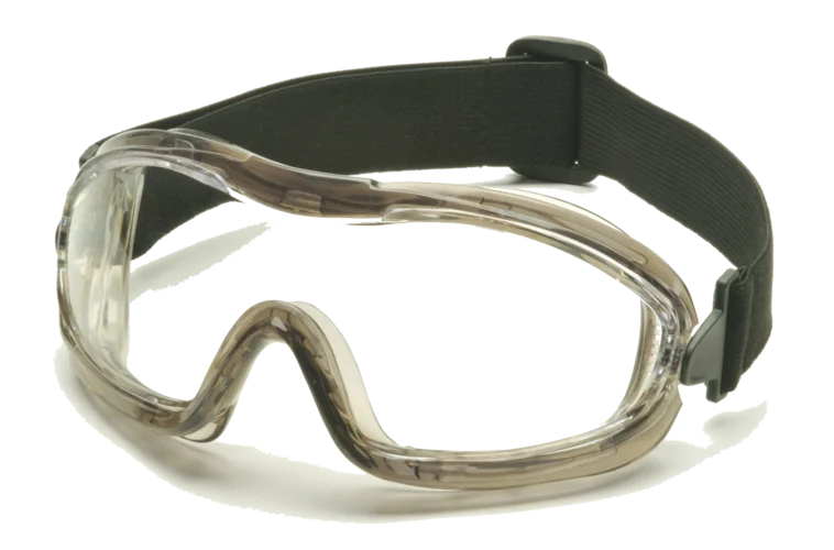 Goggle EG704T Clear 12Pck Wenaas Medium