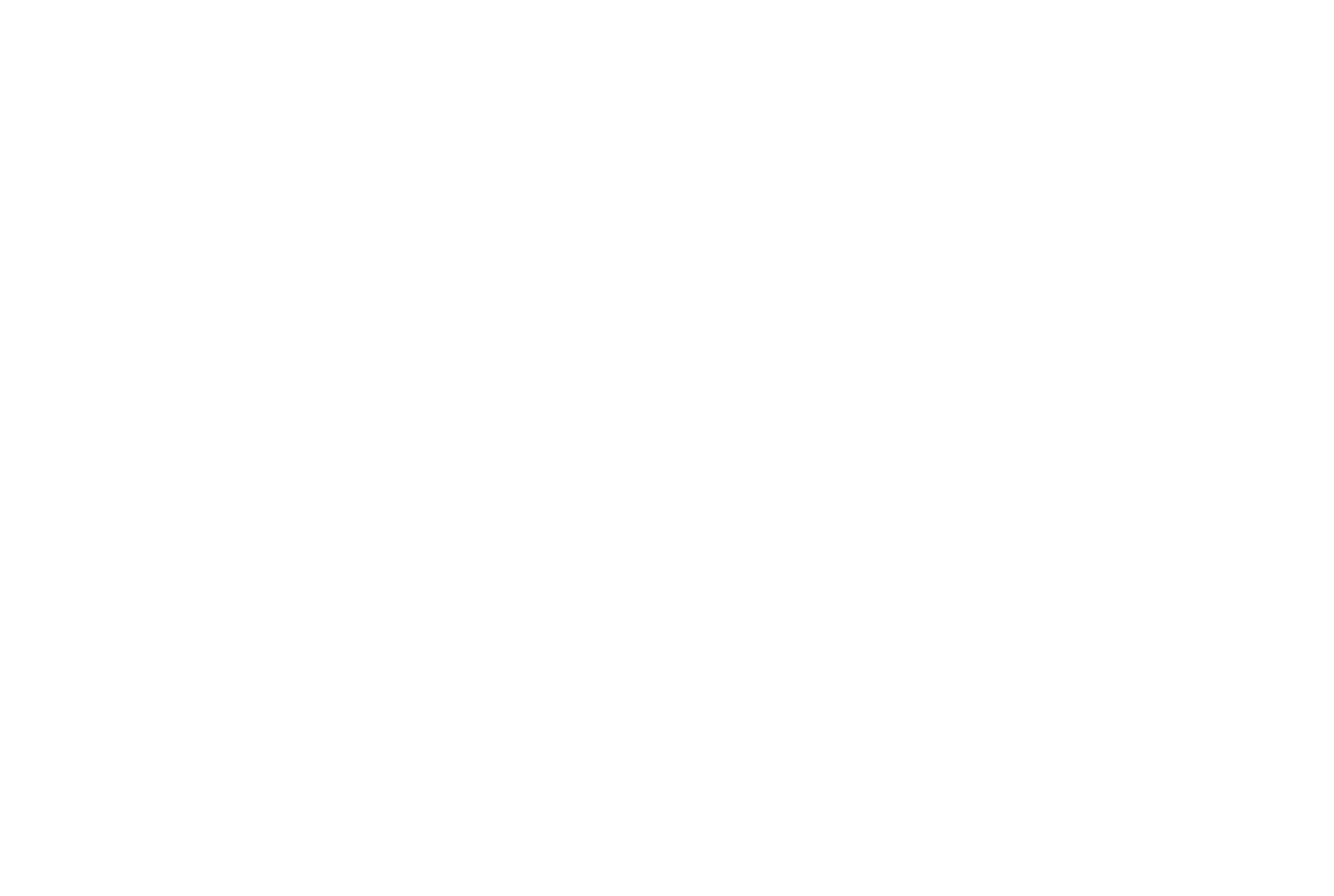 Wenaas hovedlogo hvit eps