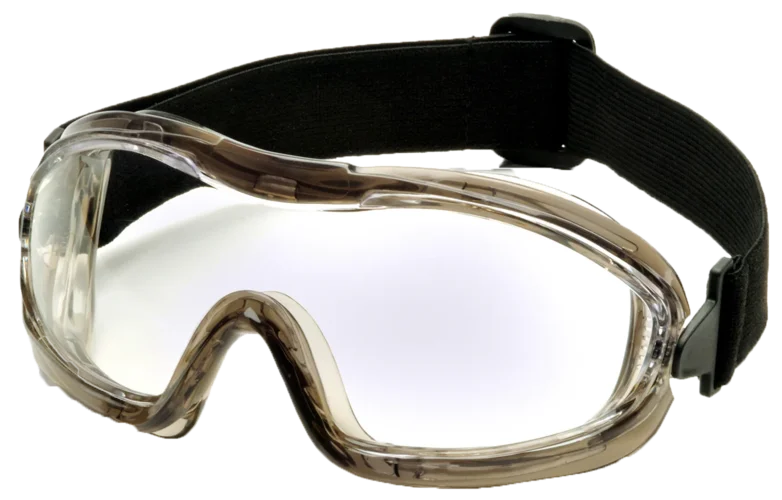 Goggle EG704T Clear Wenaas Medium
