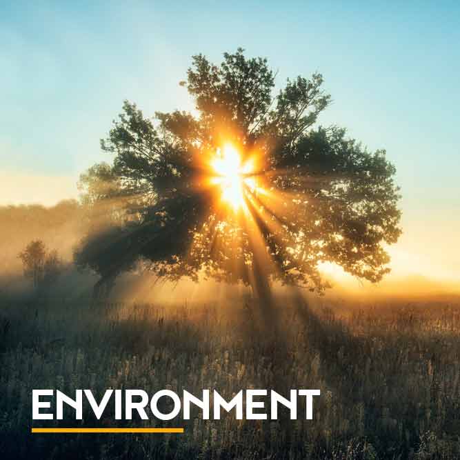 Wenaas er forpliktet til å redusere avfall og forurensning.