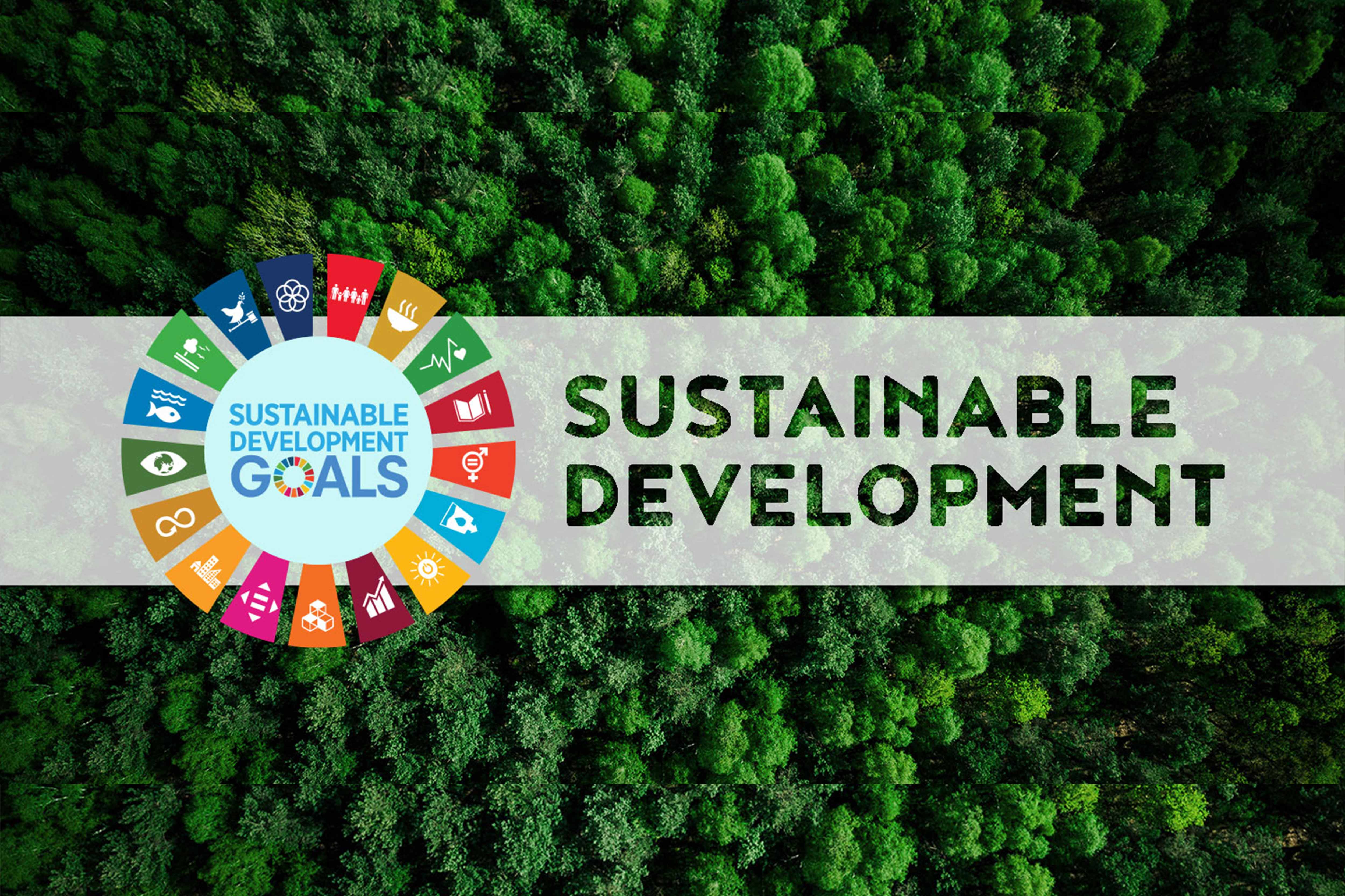 Hivis ectreme curved- synlighetsbekledning for damer Wenaas