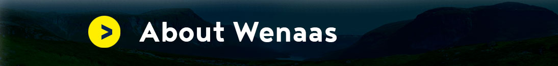 about wenaas link icon