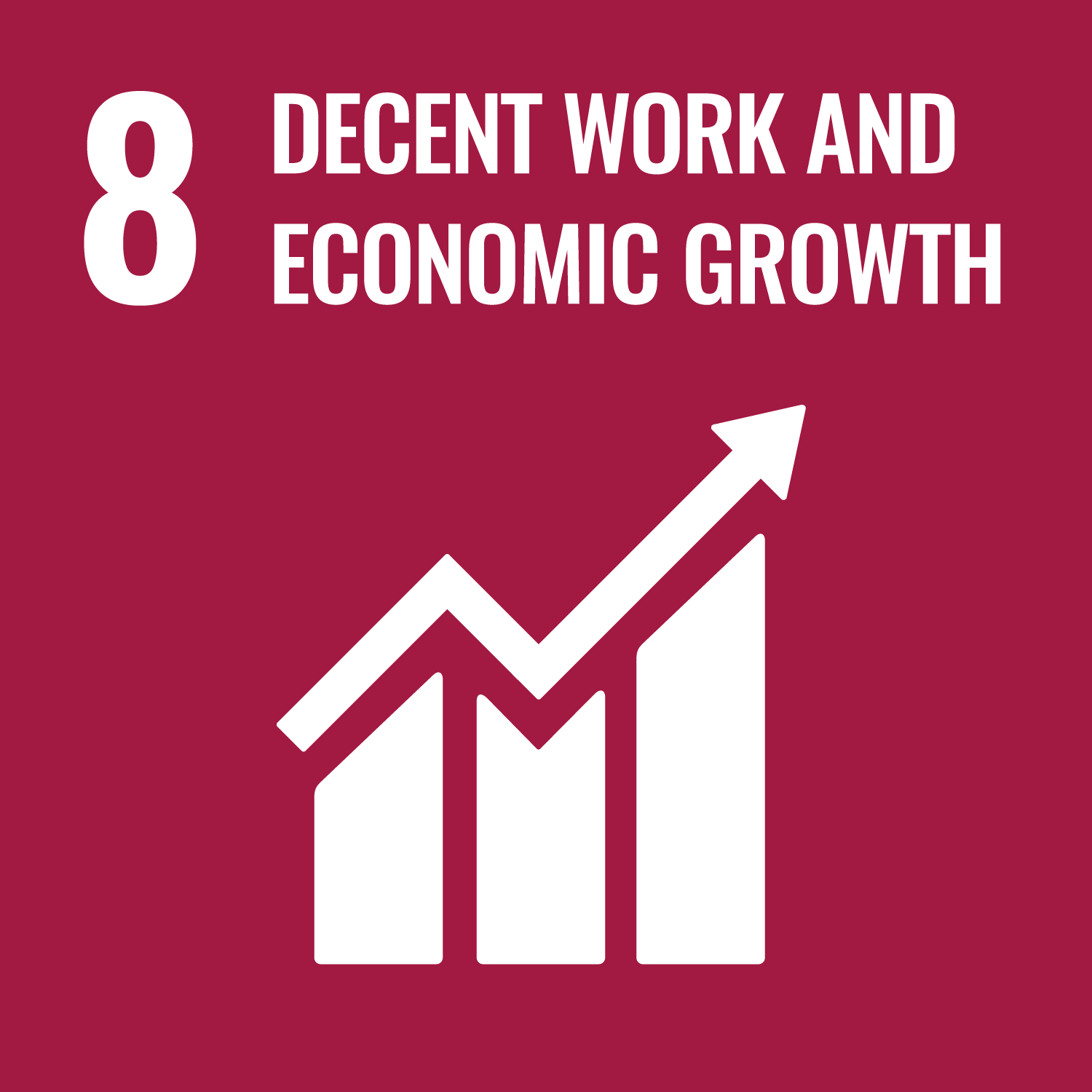 The goal is to promote sustained, inclusive and sustainable economic growth, full and productive employment and decent work for all.