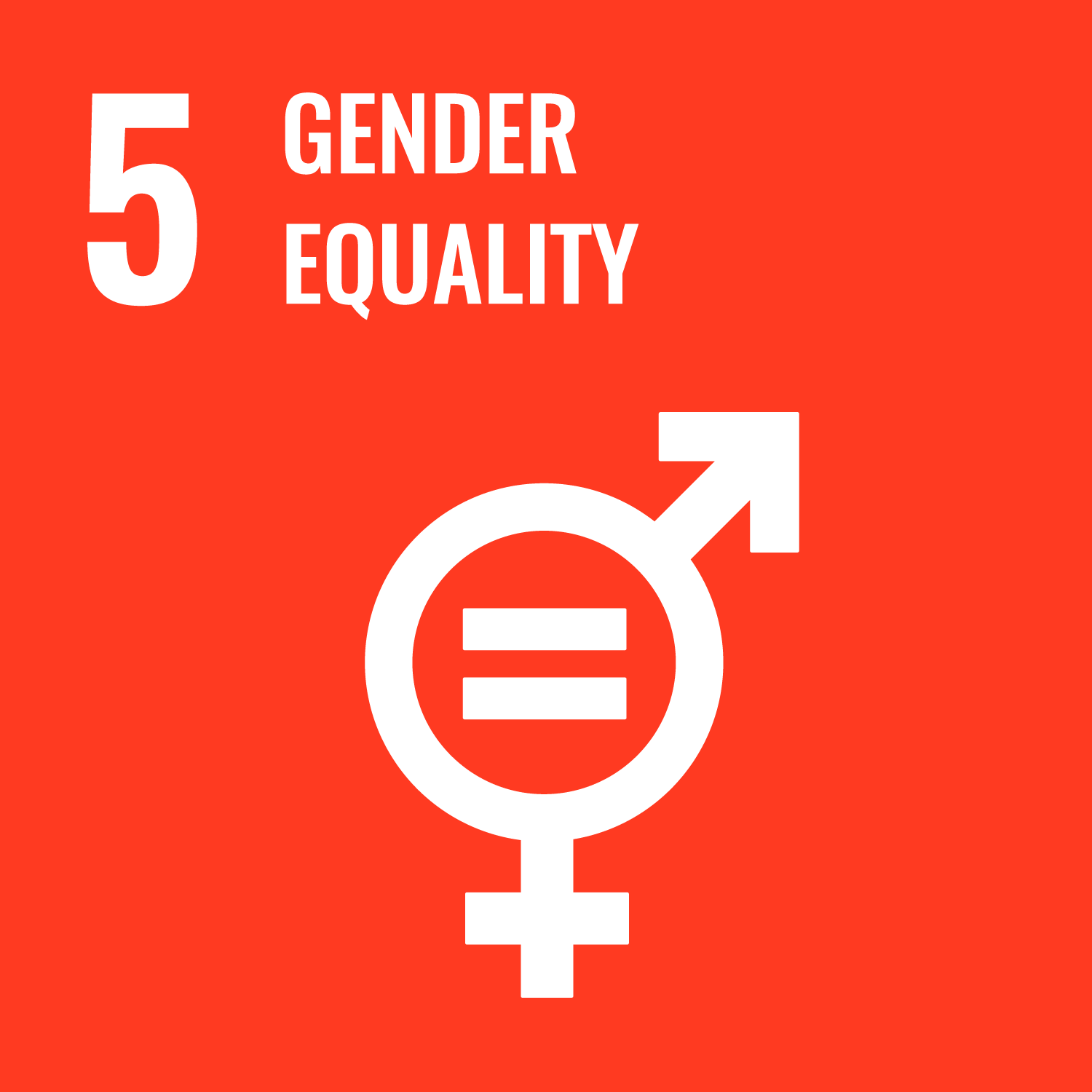 The goal is to achieve gender equality by ending discrimination, violence, and harmful practices against women and girls worldwide.