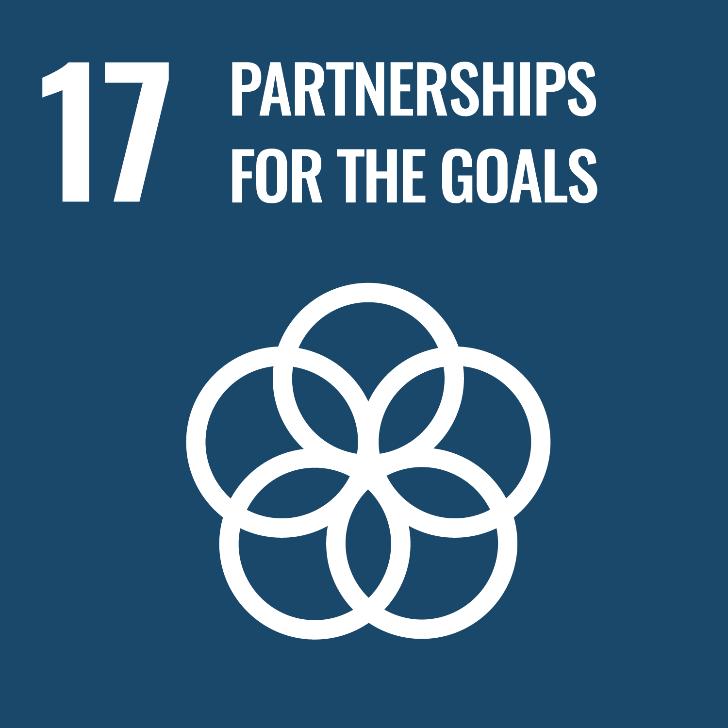 The goal is to strengthen the means of implementation and revitalize the global partnership for sustainable development in finance, technology, trade and policy.