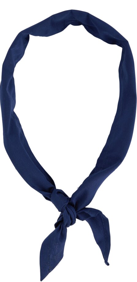 Neck cloth 1 Wenaas
